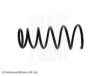 FIAT 71744013 Coil Spring